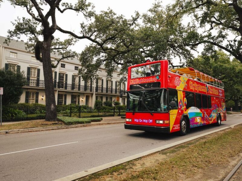 New Orleans: 2 or 3 Day Hop-On Hop-Off Bus with Walking Tour - Key Points