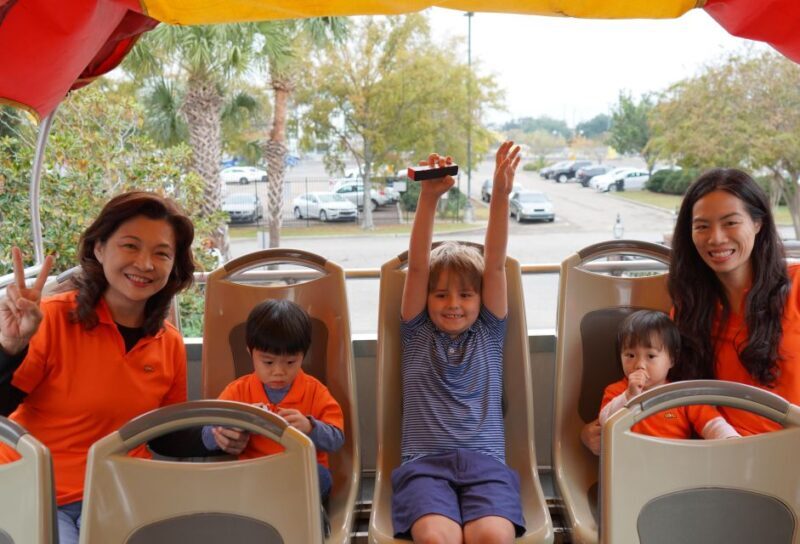 New Orleans: 2 or 3 Day Hop-On Hop-Off Bus with Walking Tour - Comfort, Convenience, and Practical Details