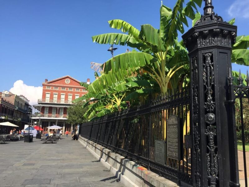 New Orleans: 45 Minutes in the French Quarter - An In-Depth Look at the Experience