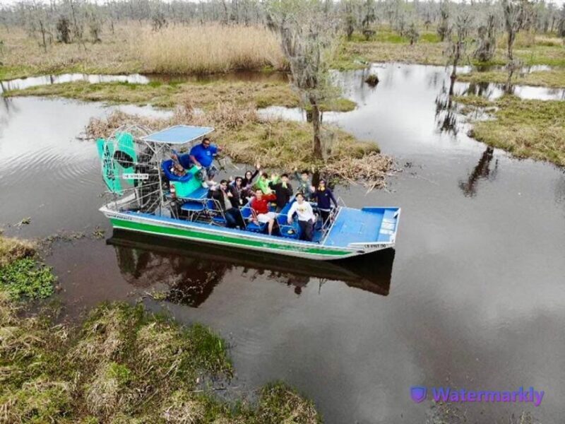 New Orleans: Airboat Swamp & City and Katrina Tour Combo - Who Will Love This Tour?