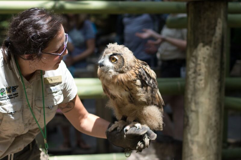 New Orleans: Audubon Zoo Ticket and Combination Option - A Closer Look at the Audubon Zoo Experience