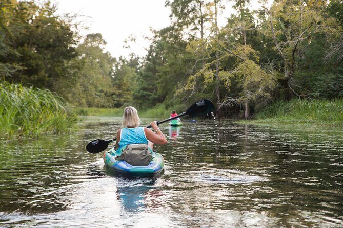 New Orleans Bayou Adventure: Kayak Rental - An In-Depth Look at the Kayak Rental Experience