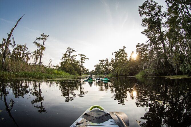 New Orleans Bayou Adventure: Kayak Rental - Final Thoughts: Is It Worth It?