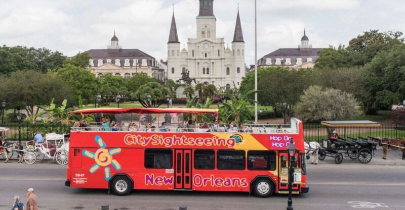 New Orleans: City Sightseeing Hop-On Hop-Off Bus Tour - Who Will Love This Tour?