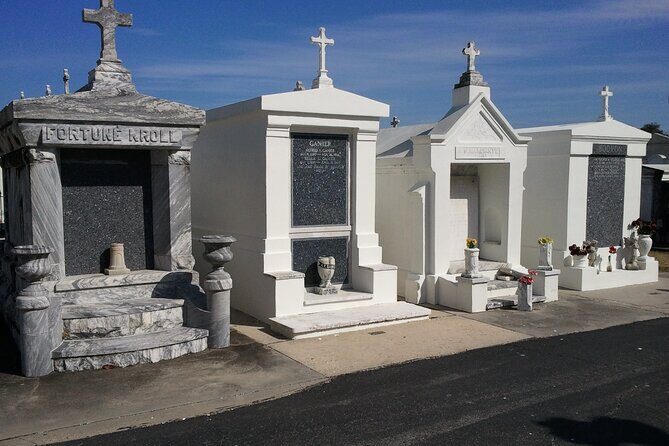 New Orleans City Wide and Plantation Driving Tour - Who Will Love This Tour?