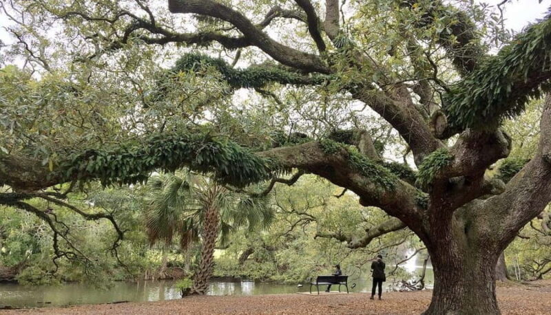 New Orleans Favorites: Beyond the French Quarter Tour - Key Points