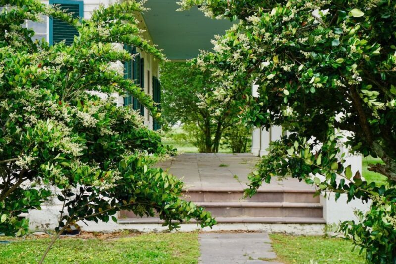 New Orleans: Felicity Plantation Guided Tour - FAQ