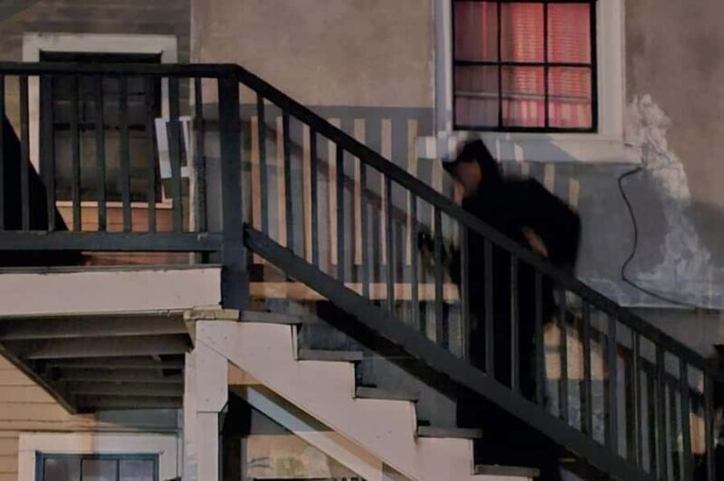 New Orleans: French Quarter Supernatural Ghost Hunt - An Insider Look at the French Quarter Supernatural Ghost Hunt