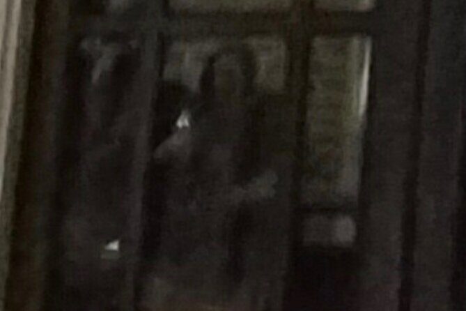 New Orleans Ghost Adventure with Real Paranormal Equipment - Final Thoughts: Who Will Love This Tour?