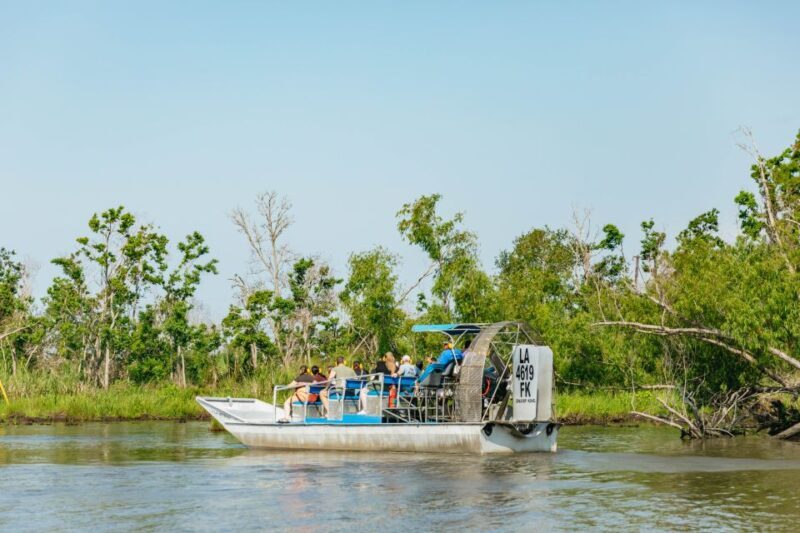 New Orleans: High Speed 9 Passenger Airboat Tour - The Wildlife and Scenic Highlights