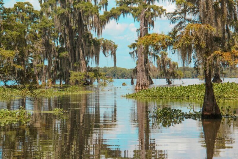 New Orleans: High Speed 9 Passenger Airboat Tour - Experience Duration and Flexibility