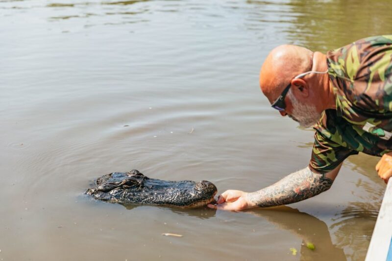 New Orleans: High Speed 9 Passenger Airboat Tour - Final Thoughts: Is It Worth It?