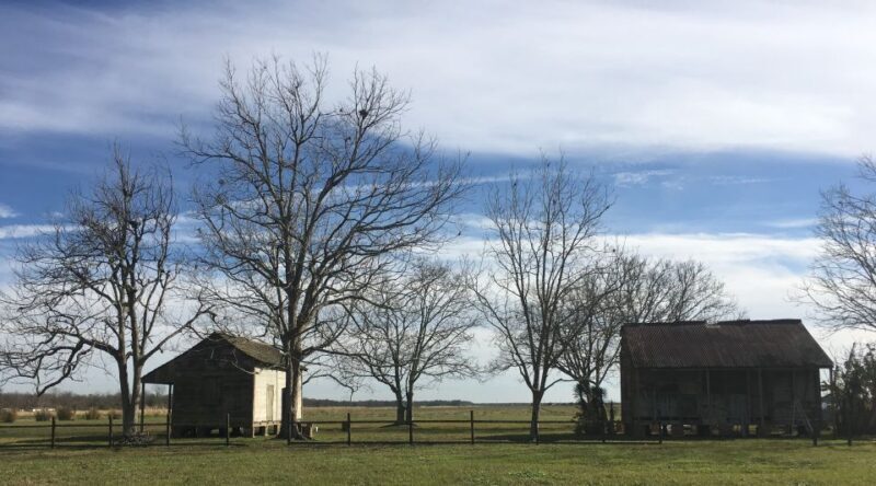 New Orleans: Laura Creole Plantation Guided Tour - An In-Depth Look at the Laura Creole Plantation Tour