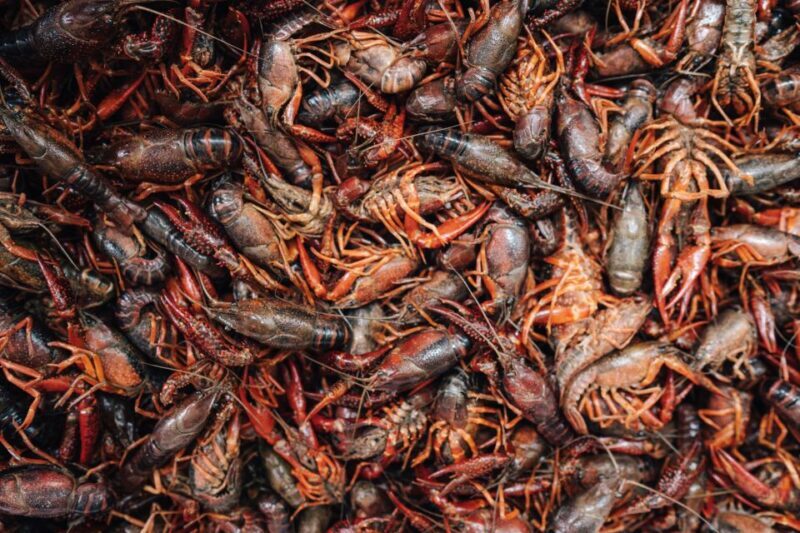 New Orleans' Lower Garden Food Tour - Key Points