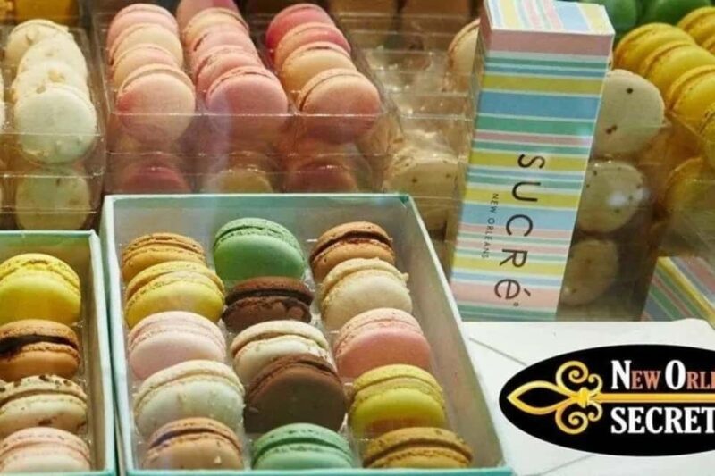 New Orleans: Magazine Street Foodie Tour - Food Quality and Creativity