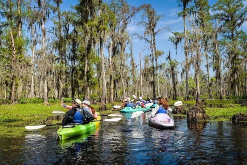 New Orleans: Manchac Magic Kayak Swamp Tour - FAQ