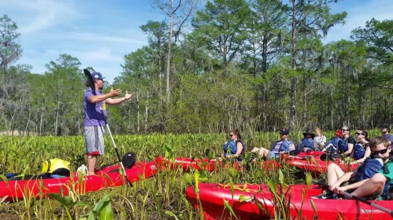 New Orleans: Manchac Swamp Wildlife Kayaking Tour - Key Points