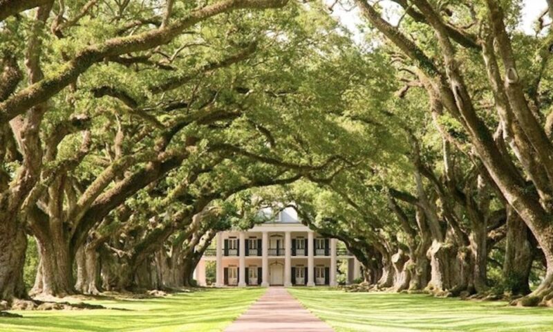 New Orleans: Oak Alley or Laura Plantation & Airboat Tour - A Closer Look at the Plantation Visits