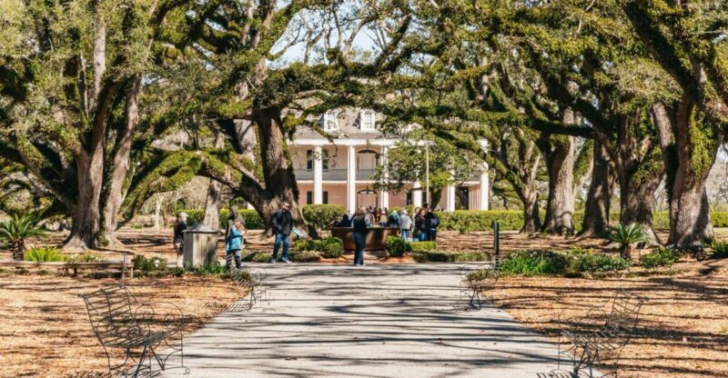New Orleans: Oak Alley Plantation & Airboat Swamp Combo Tour - The Breakdown of the Tour Experience