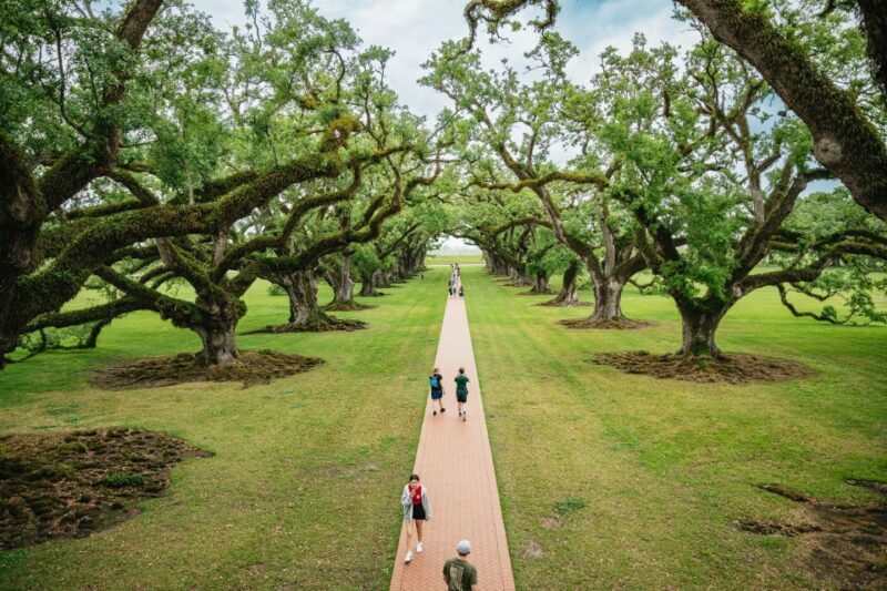 New Orleans: Oak Alley Plantation and Swamp Cruise Day Trip - A Deep Dive into the Experience