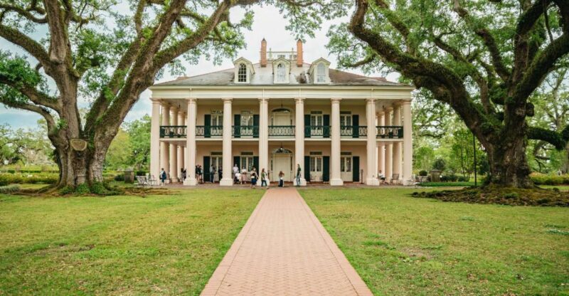 New Orleans: Oak Alley Plantation and Swamp Cruise Day Trip - The Experience in Detail