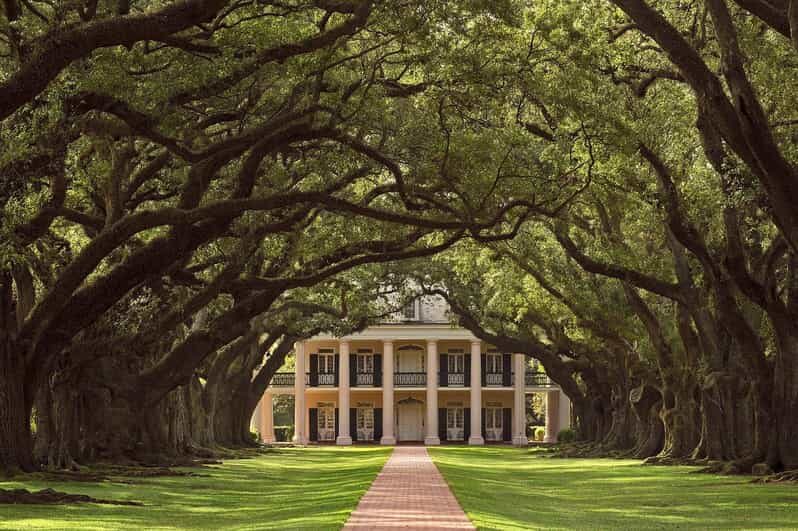 New Orleans: Oak Alley Plantation Half Day Tour - An In-Depth Look at the Tour Itinerary