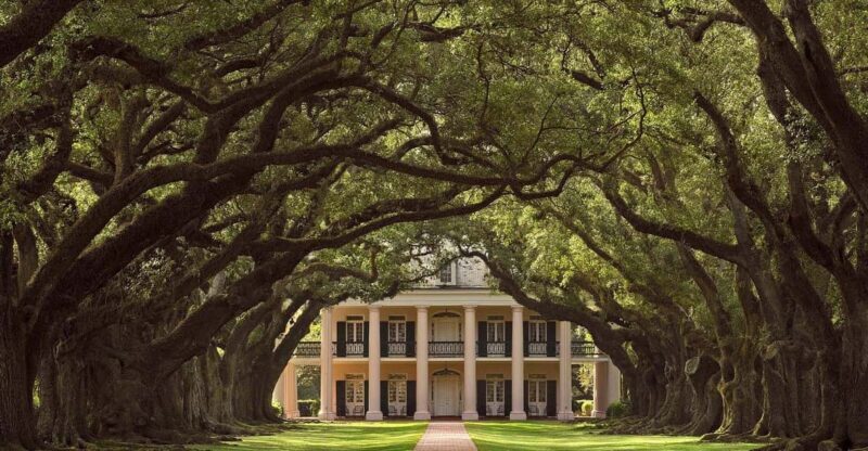 New Orleans: Oak Alley Plantation Half Day Tour - The Ideal Traveler for This Tour