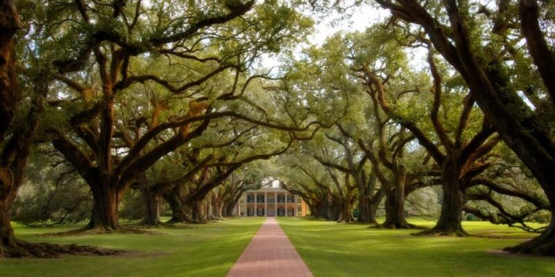 New Orleans: Oak Alley Plantation Half Day Tour - FAQ