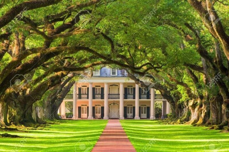 New Orleans: Oak Alley Plantation Tour and Airboat Tour - A Closer Look at the Itinerary