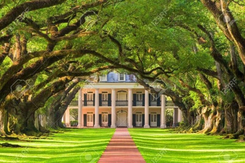 New Orleans: Oak Alley Plantation Tour with Hotel Transfers - Analyzing the Value