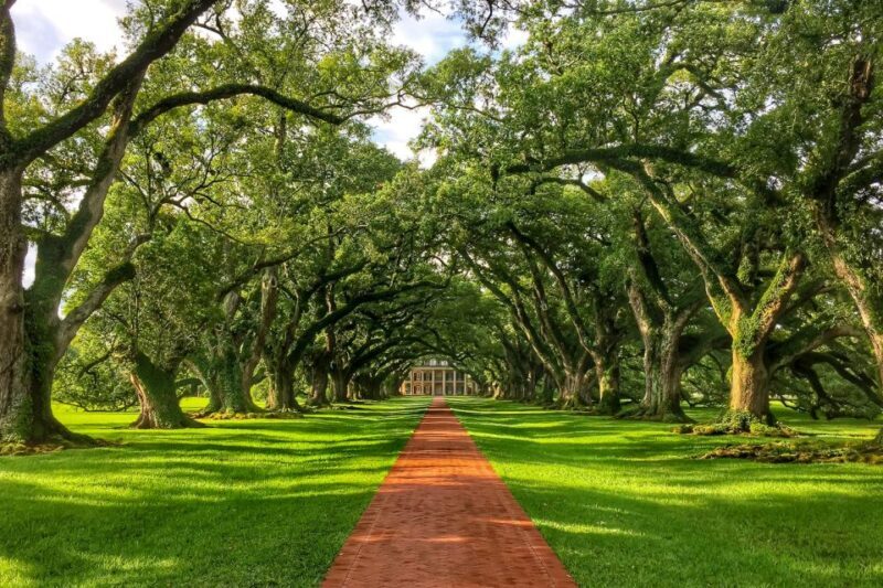 New Orleans: Oak Alley Plantation Tour with Transportation - A Closer Look: What to Expect on the Tour