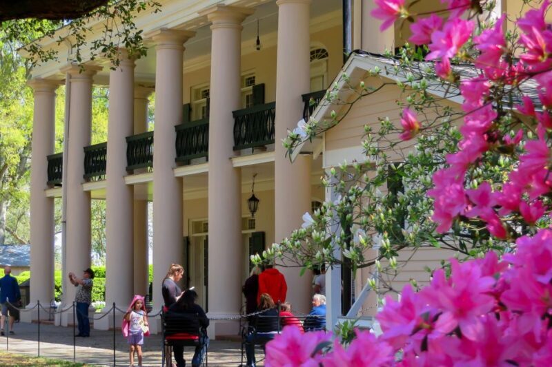 New Orleans: Oak Alley Plantation Tour with Transportation - Final Thoughts: Is It Worth It?