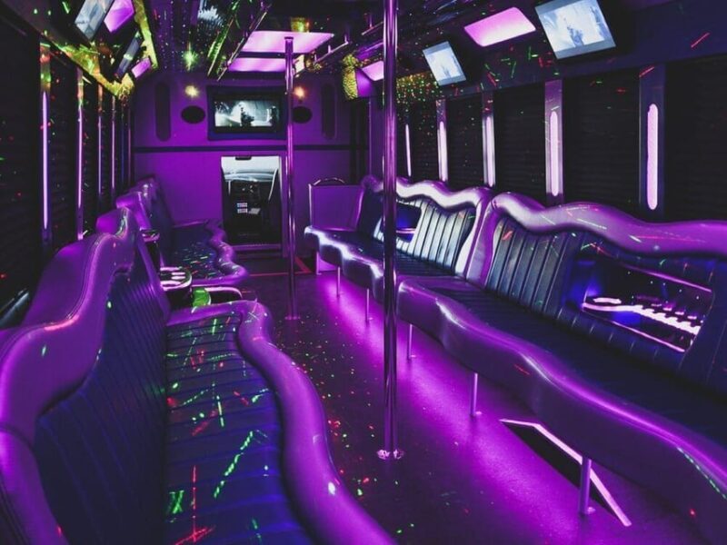 New Orleans: Party Bus Experience - Practical Tips for Booking
