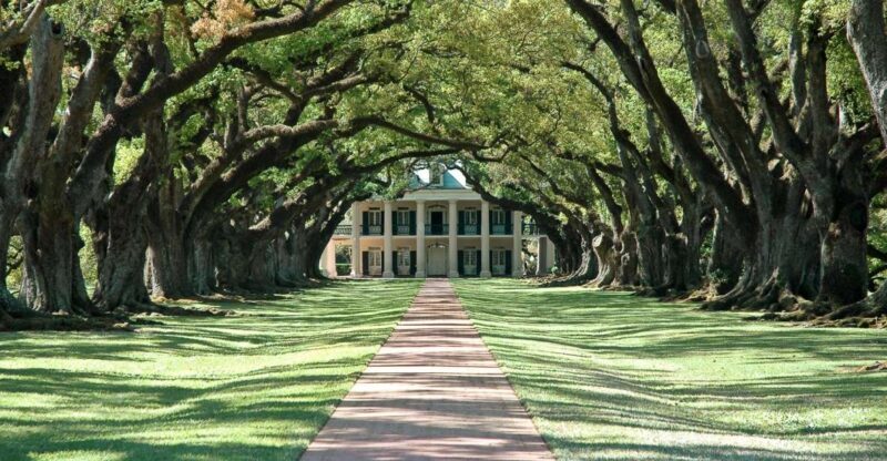 New Orleans: Single Plantation and Pontoon Swamp Day Trip - Key Points