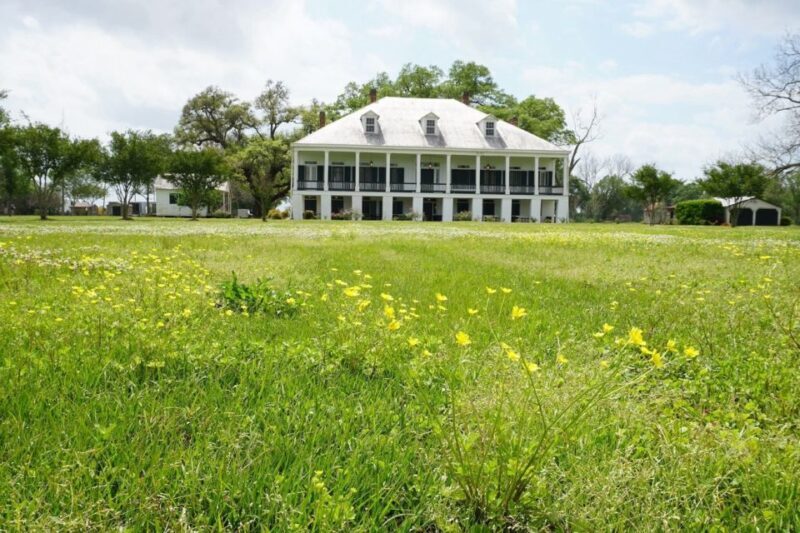 New Orleans: St. Joseph Plantation Guided Tour - Who Will Love This Tour?