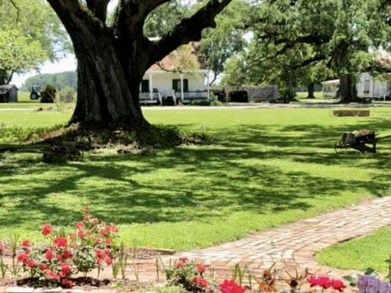 New Orleans: St. Joseph Plantation Guided Tour - Final Thoughts