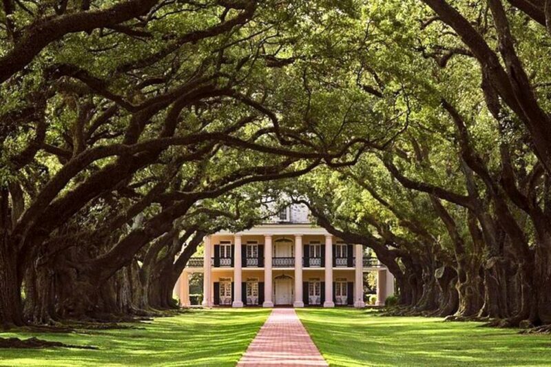 New Orleans: Swamp Boat Ride and Historic Plantation Tour - Why This Tour Works