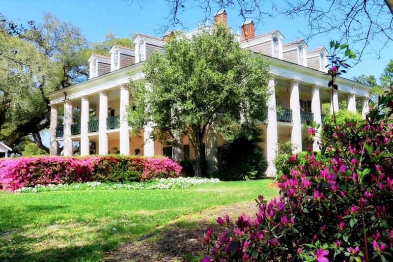 New Orleans: Swamp Boat Ride and Historic Plantation Tour - Final Thoughts