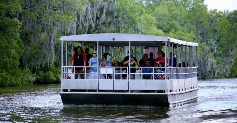 New Orleans: Swamp Tour on Covered Pontoon Boat - Overview of the New Orleans Swamp Tour on Covered Pontoon Boat