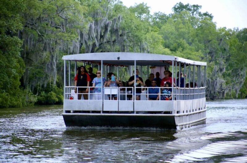 New Orleans: Swamp Tour on Covered Pontoon Boat - Key Points
