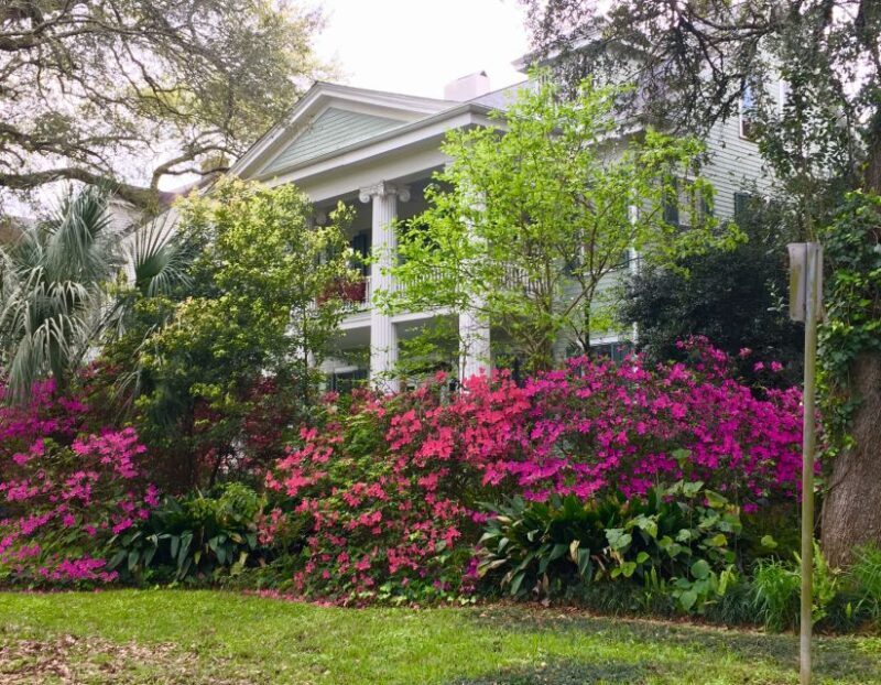 New Orleans: Traditional City and Estate Tour - The Sum Up
