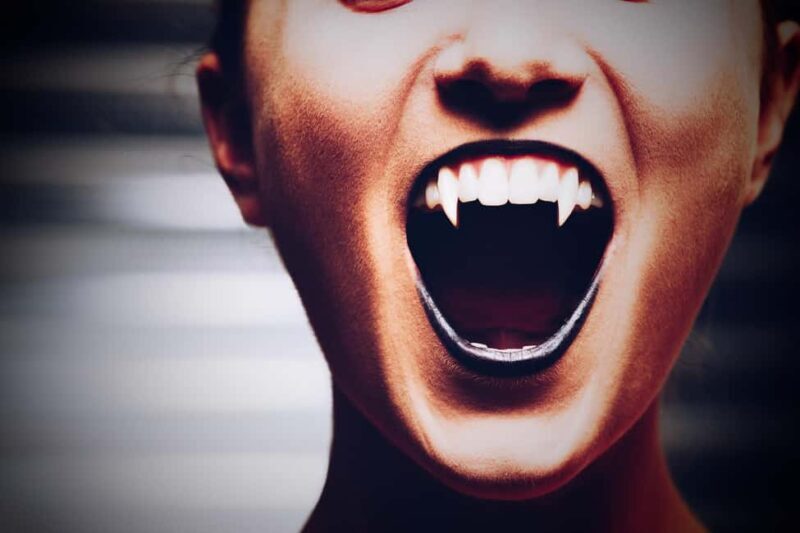 New Orleans: Vampires, Voodoo, and Ghosts Tour - Key Points