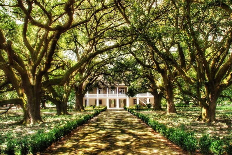 New Orleans: Whitney Plantation Tour with Transportation - A Detailed Look at the Whitney Plantation Tour