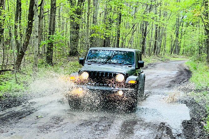 New River Gorge Jeep Tour (Half Day) - An In-Depth Look at the Tour Experience