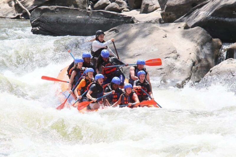 New River Gorge: Lower New River Full-Day Rafting Tour - Detailed Breakdown of What to Expect