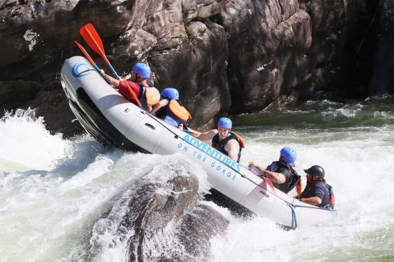 New River Gorge: Lower New River Full-Day Rafting Tour - Value and Pricing Analysis