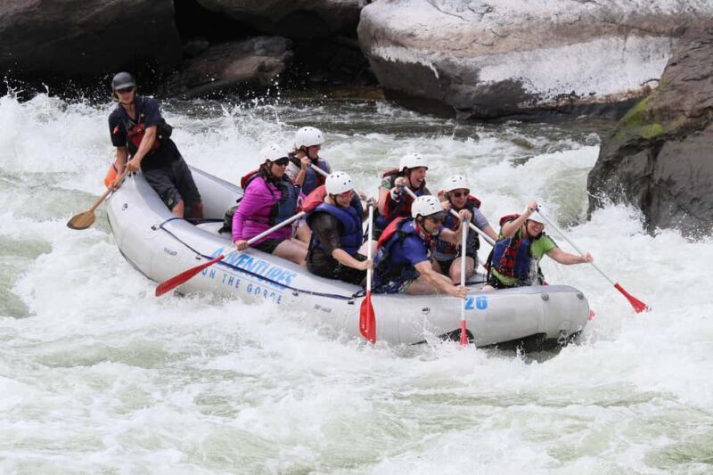 New River Gorge: Lower New River Full-Day Rafting Tour - Summary