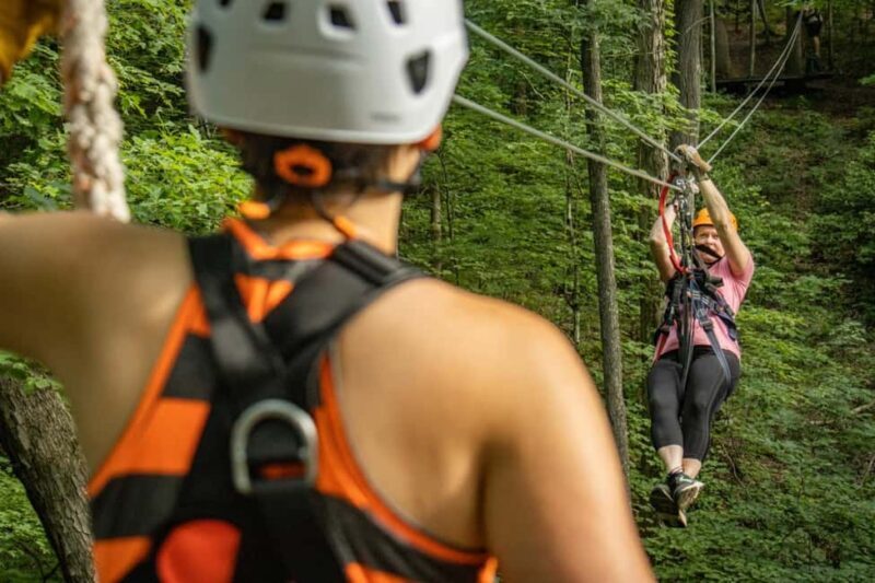 New River Gorge: TimberTrek Adventure Park Entry Ticket - The Experience in Detail: What You Can Expect
