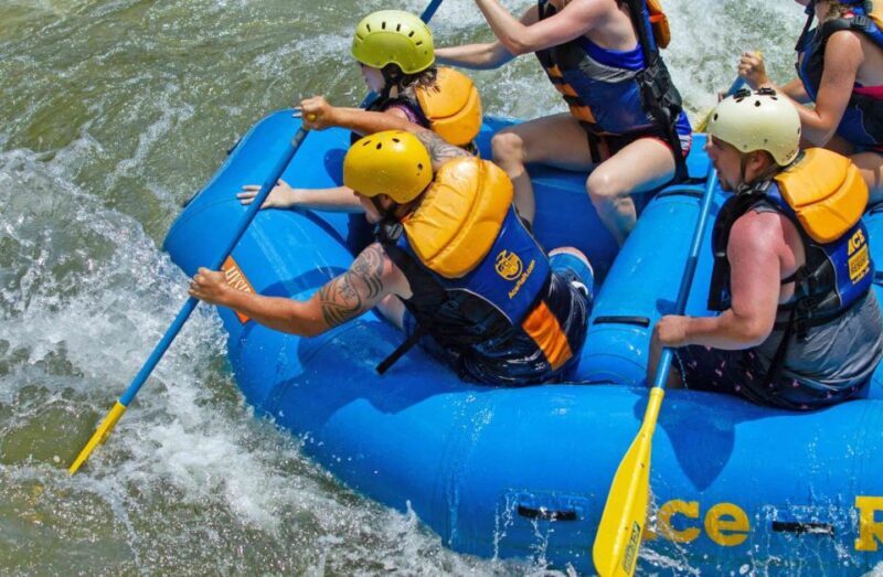 New River Gorge Whitewater Rafting - Lower New Half Day - Key Points