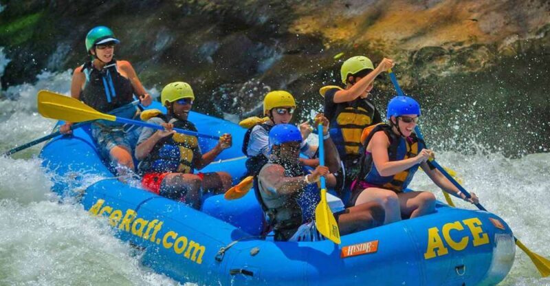 New River Gorge Whitewater Rafting - Lower New Half Day - What to Expect from the Experience